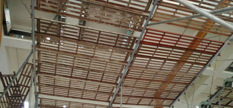 JS鷹架團隊進行單管施工架安全教育訓練